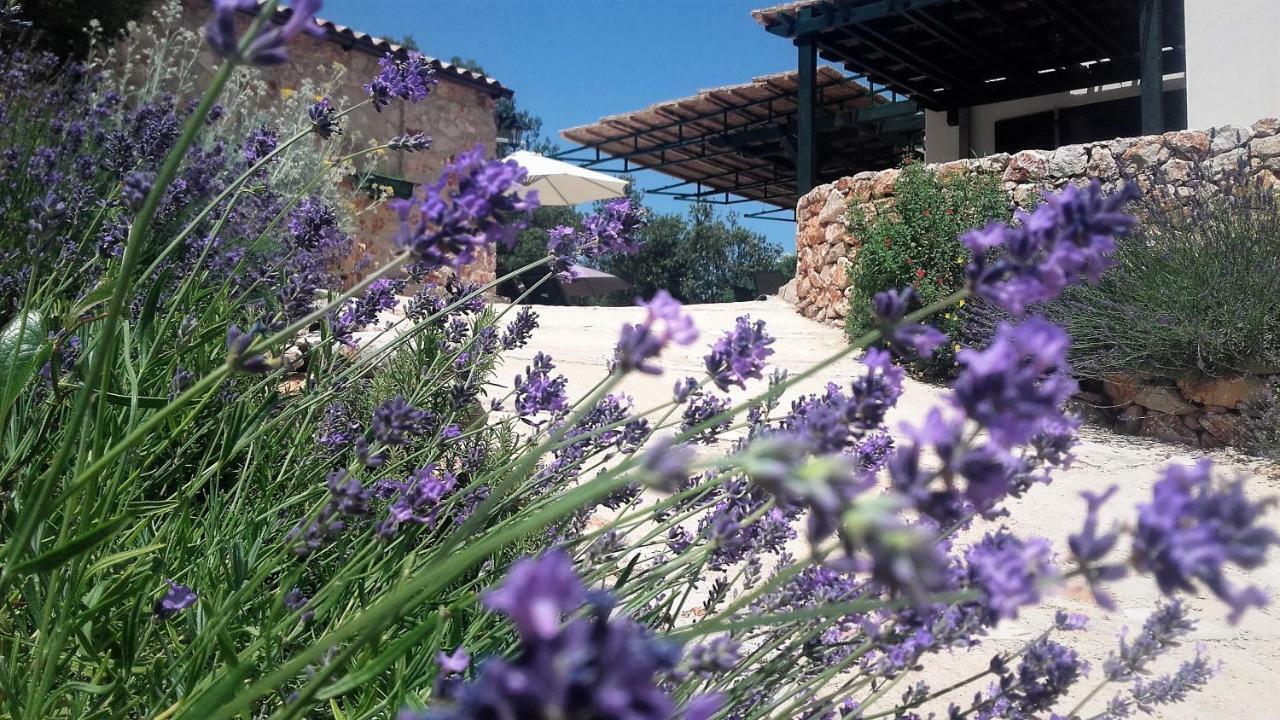 Lavender Hill Hvar Villa - Pool, Jacuzzi,Sauna,Bbq Stari Grad  Eksteriør bilde