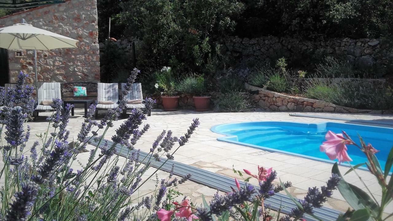 Lavender Hill Hvar Villa - Pool, Jacuzzi,Sauna,Bbq Stari Grad  Eksteriør bilde